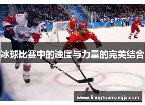 冰球比赛中的速度与力量的完美结合